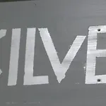 Silver55 *