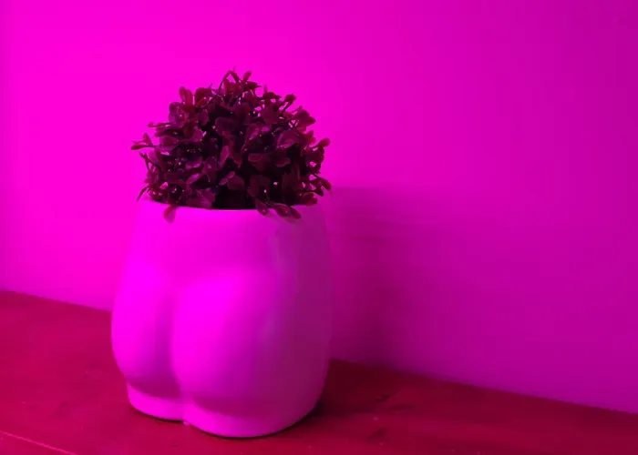 Apartment Silver55 *