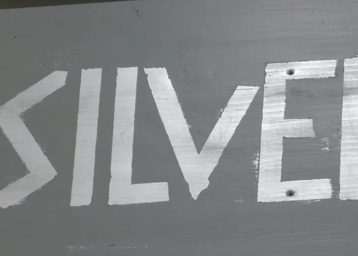 Silver55 *
