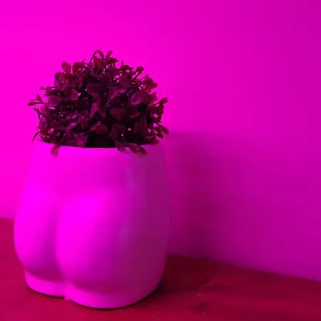 Apartament Silver55 *